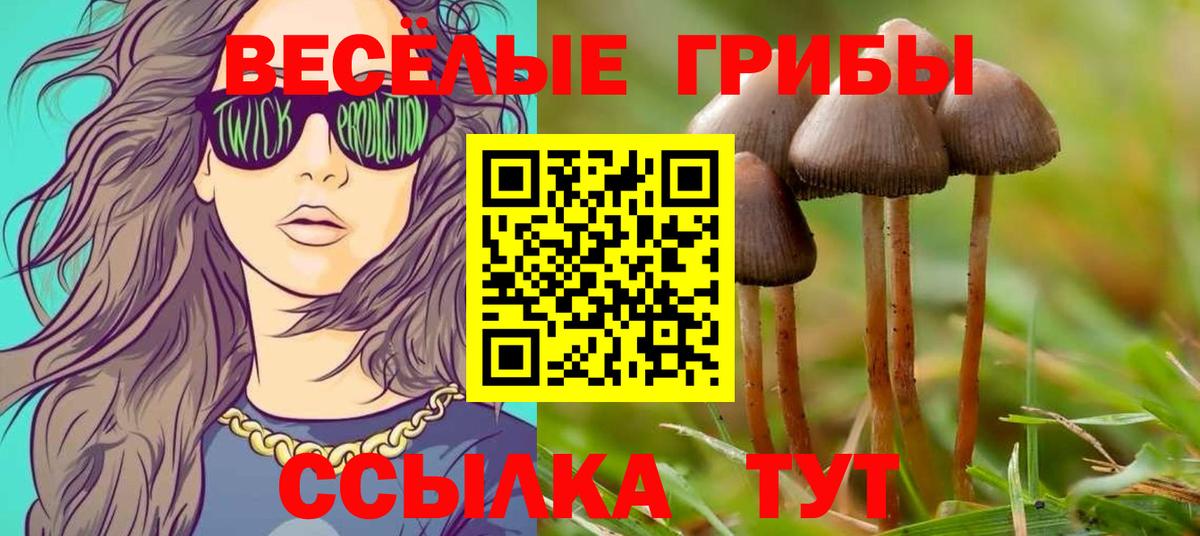 Галлюциногенные грибы Psilocybine cubensis Сергиев Посад